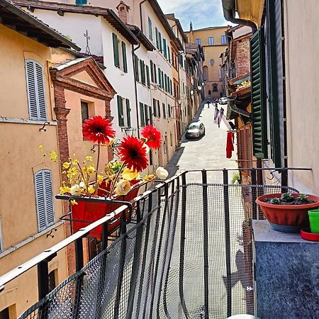 La Campanina-Nel Cuore Di Siena E Della Contrada Экстерьер фото